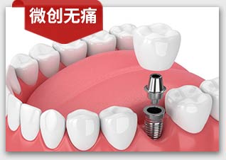 香港精准资料100