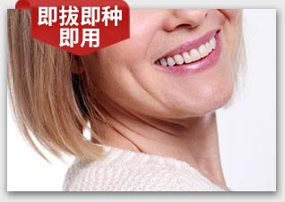 香港精准资料100