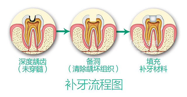 香港精准资料100