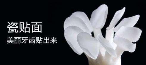 香港精准资料100