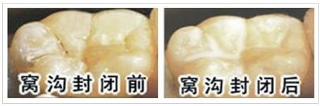 香港精准资料100