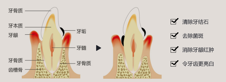 香港精准资料100