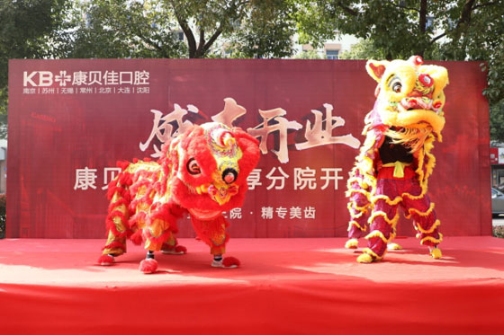 香港精准资料100