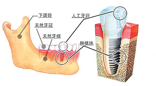 香港精准资料100