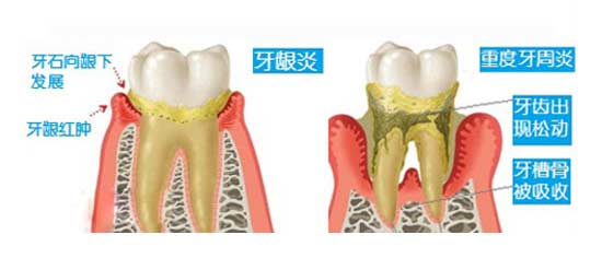 香港精准资料100