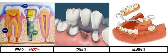 香港精准资料100