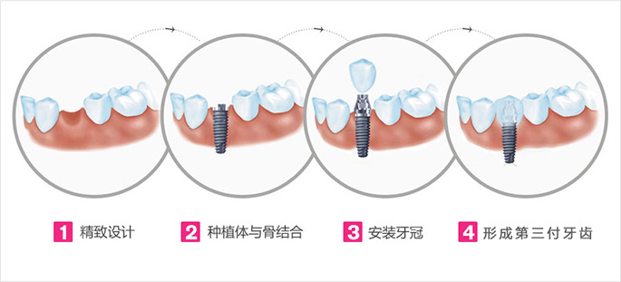 香港精准资料100