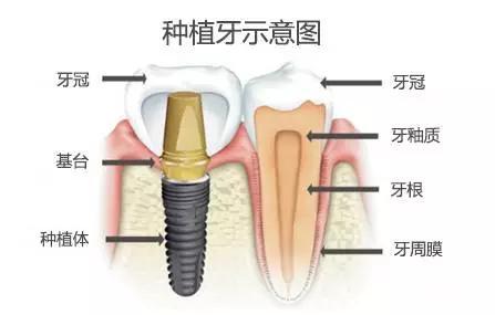 香港精准资料100