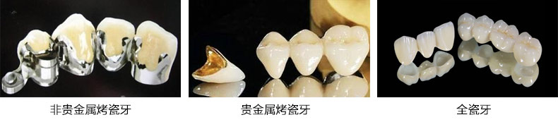 香港精准资料100