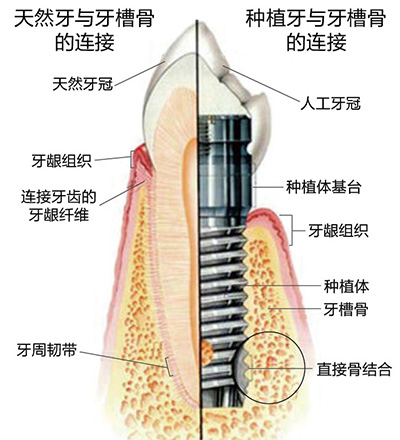 香港精准资料100