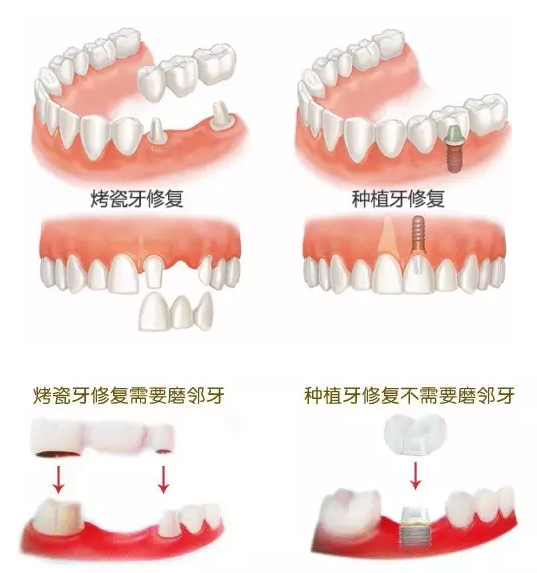 香港精准资料100