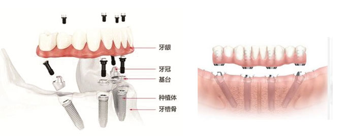 香港精准资料100