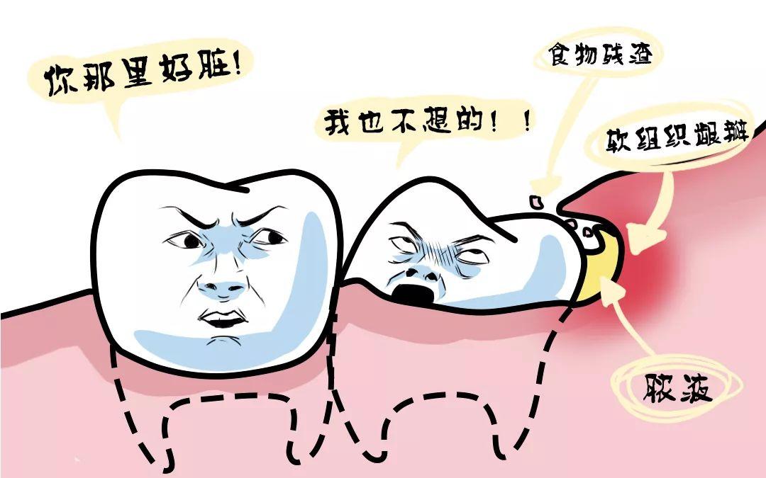香港精准资料100