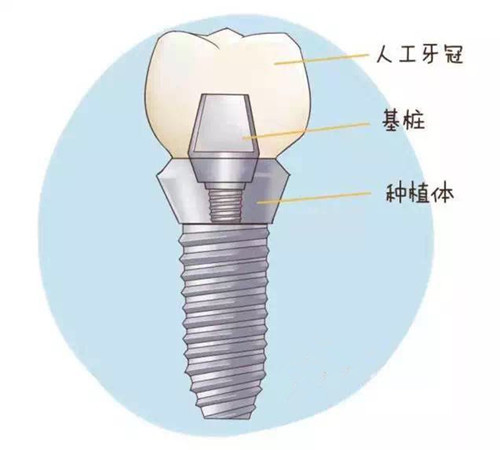 香港精准资料100