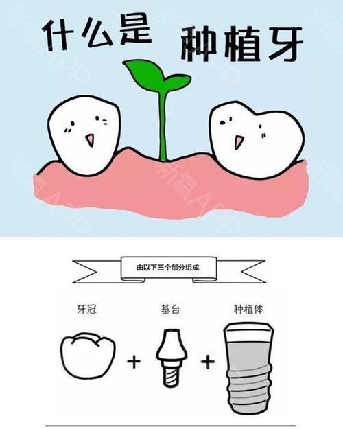 香港精准资料100