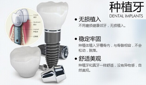 香港精准资料100