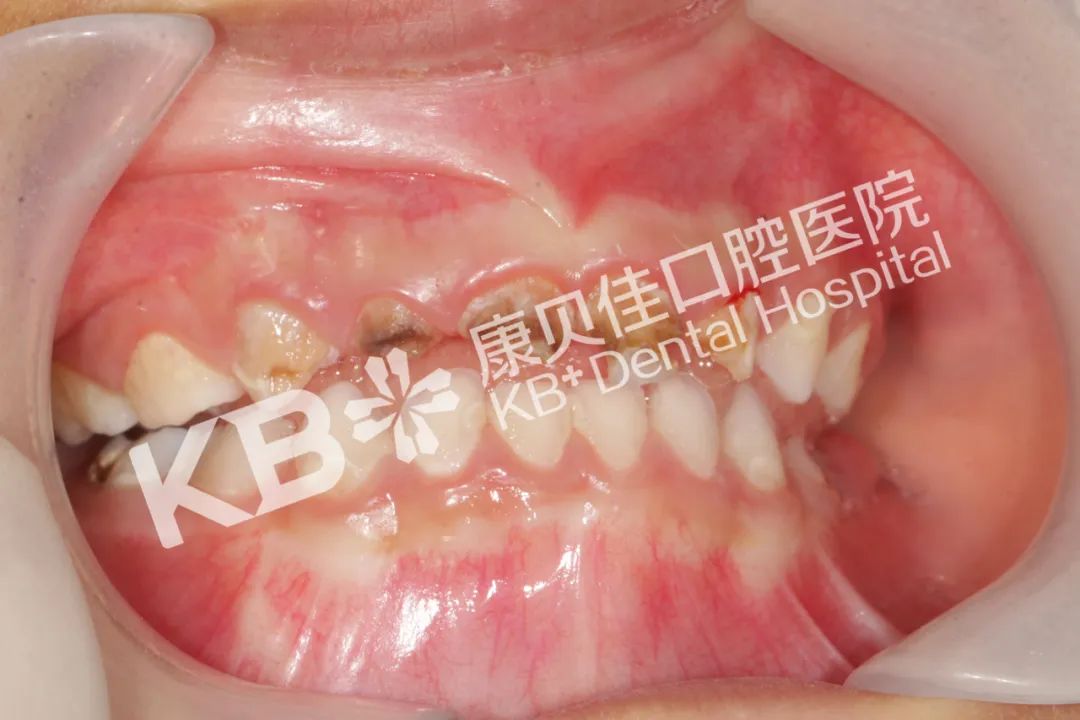 香港精准资料100