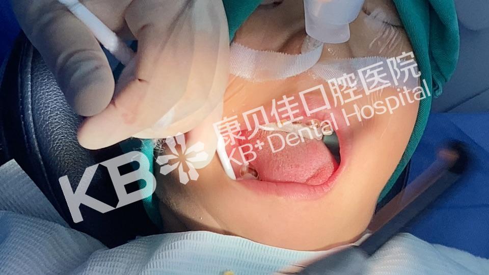 香港精准资料100